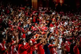 冲出训鸡营完整版