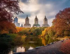 关于纽约尼克斯训练开放日；清晨临场应变引欢呼；CBA季后赛在即；控场能力受关注的信息